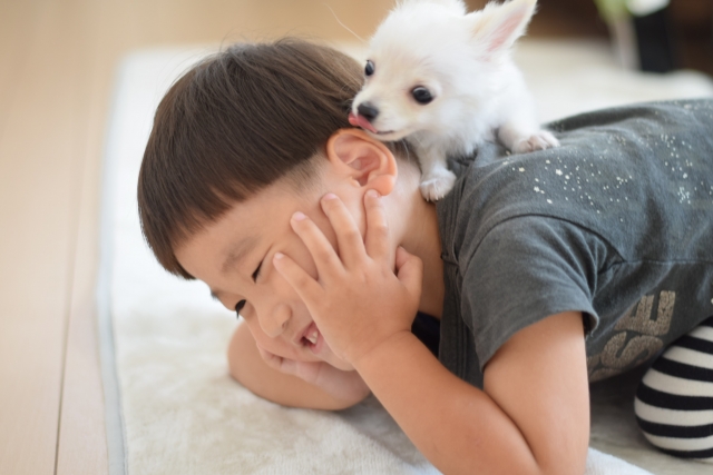 こどもが中耳炎になりやすい理由