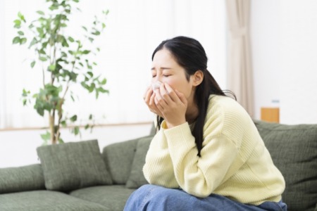 ハウスダストの影響と対策法｜健康を守るためのステップ